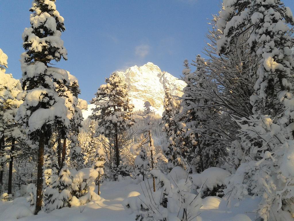 Appartamento Haus Breithornblick Maria Alm am Steinernen Meer Esterno foto
