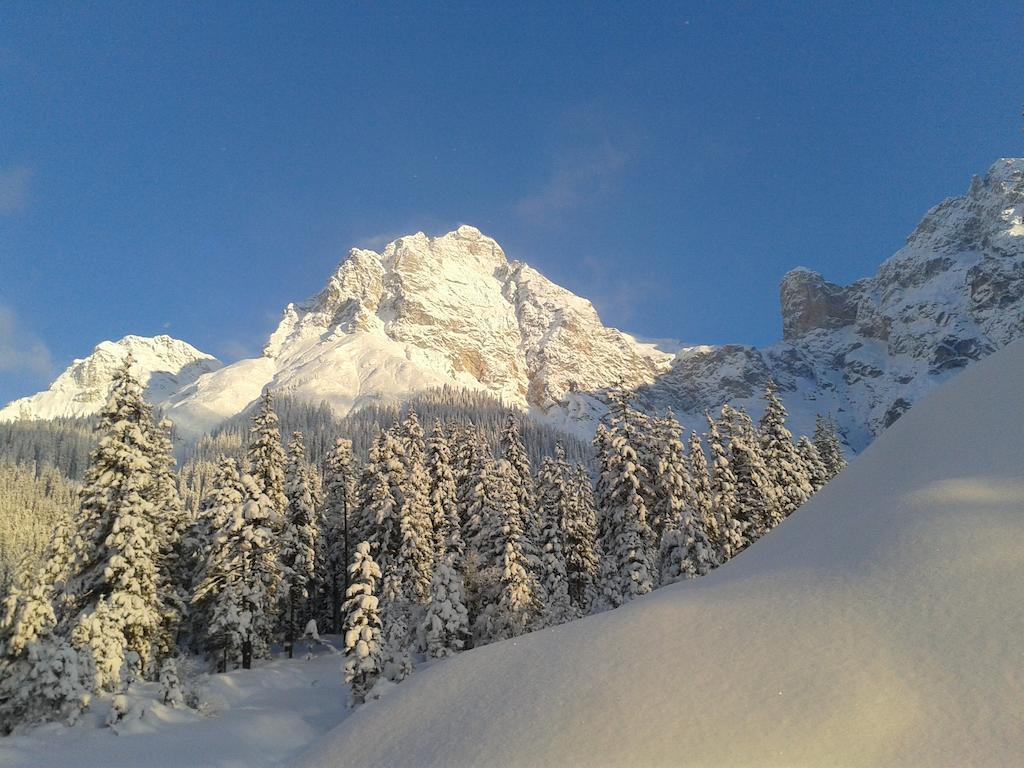 Appartamento Haus Breithornblick Maria Alm am Steinernen Meer Esterno foto